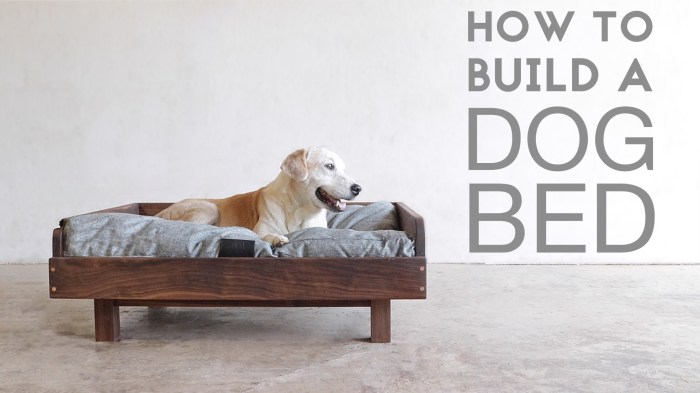 Murphy bed dog diy roomfortuesday